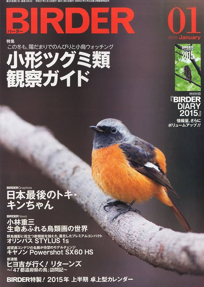 Amazon.co.jp: BIRDER (バーダー) 2015年1月号 小形ツグミ類